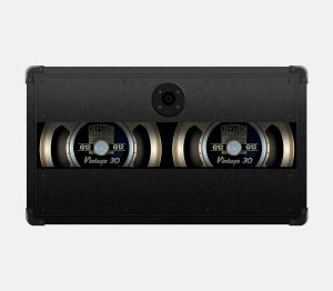 Celestion Vintage 30 Pack - DynIR Bundle - Two notes