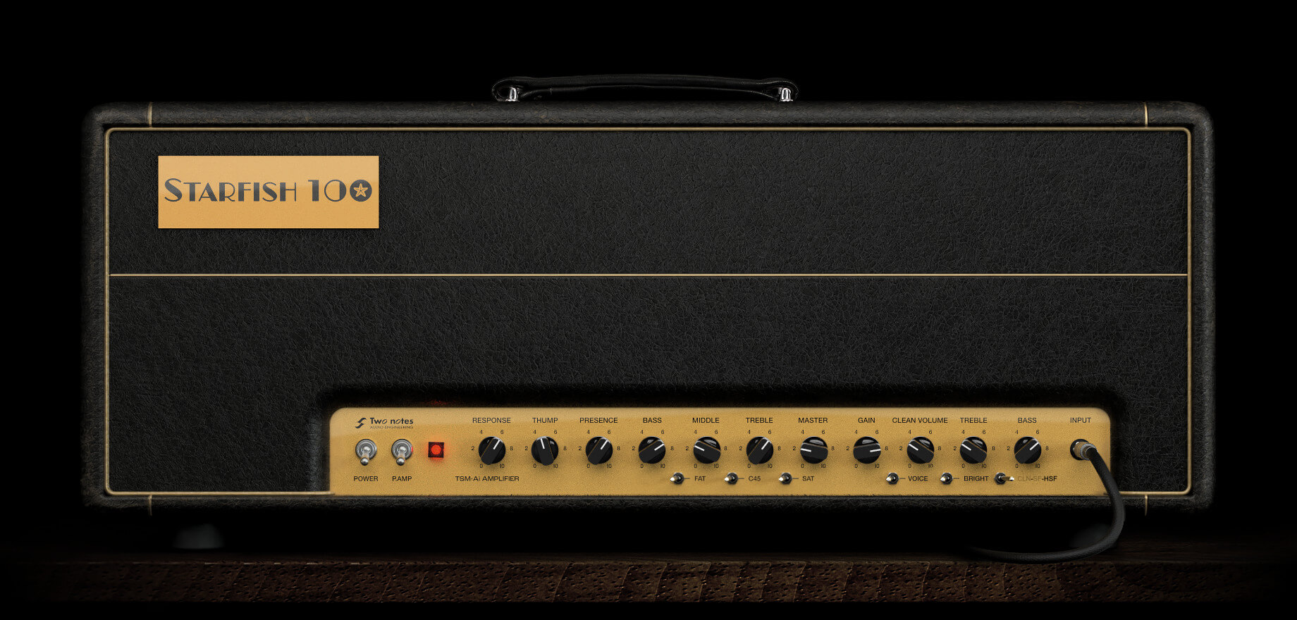 Updated-amp_starfish100_store.jpg
